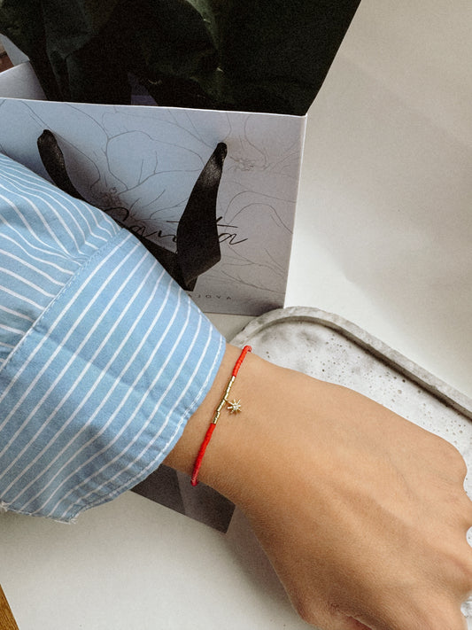 Pulsera Mostacilla guía